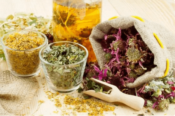 Herbs have prostatitis