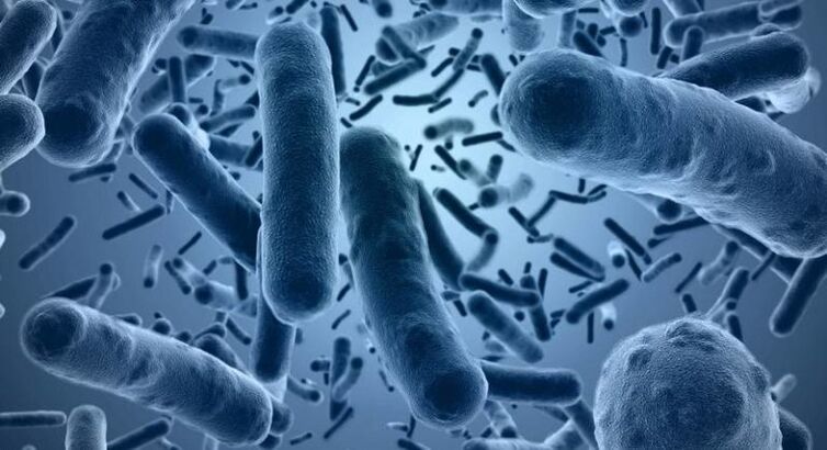 Bacteria cause the development of acute infectious prostatitis